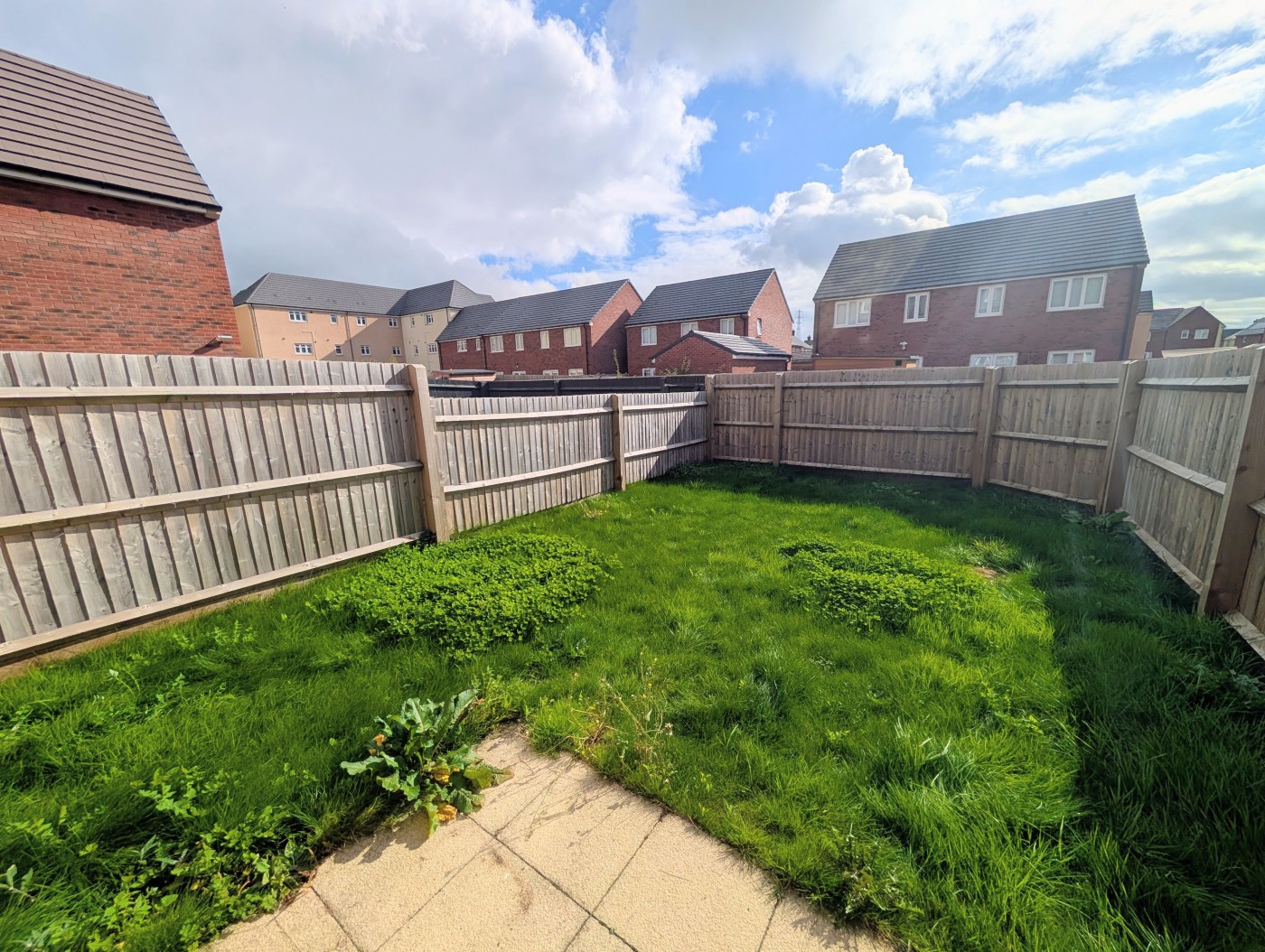 Images for Newport EAID:freelancer BID:0004-0ac8-83a7-b613