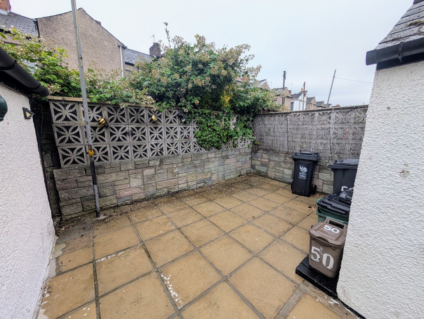 Images for Newport EAID:freelancer BID:0004-0ac8-83a7-b613