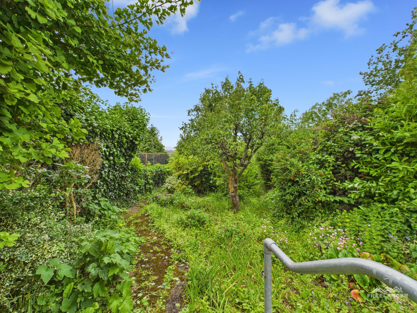 Images for Newport EAID:freelancer BID:0004-0ac8-83a7-b613