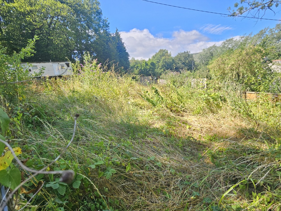 View Full Details for Cwmbran - EAID:freelancer, BID:0004-0ac8-83a7-b613