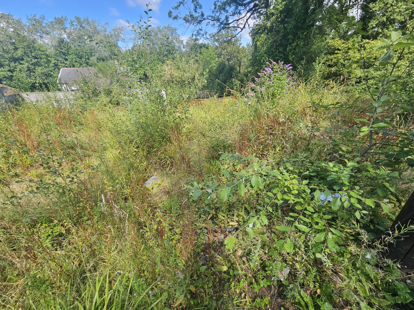 Images for Cwmbran EAID:freelancer BID:0004-0ac8-83a7-b613