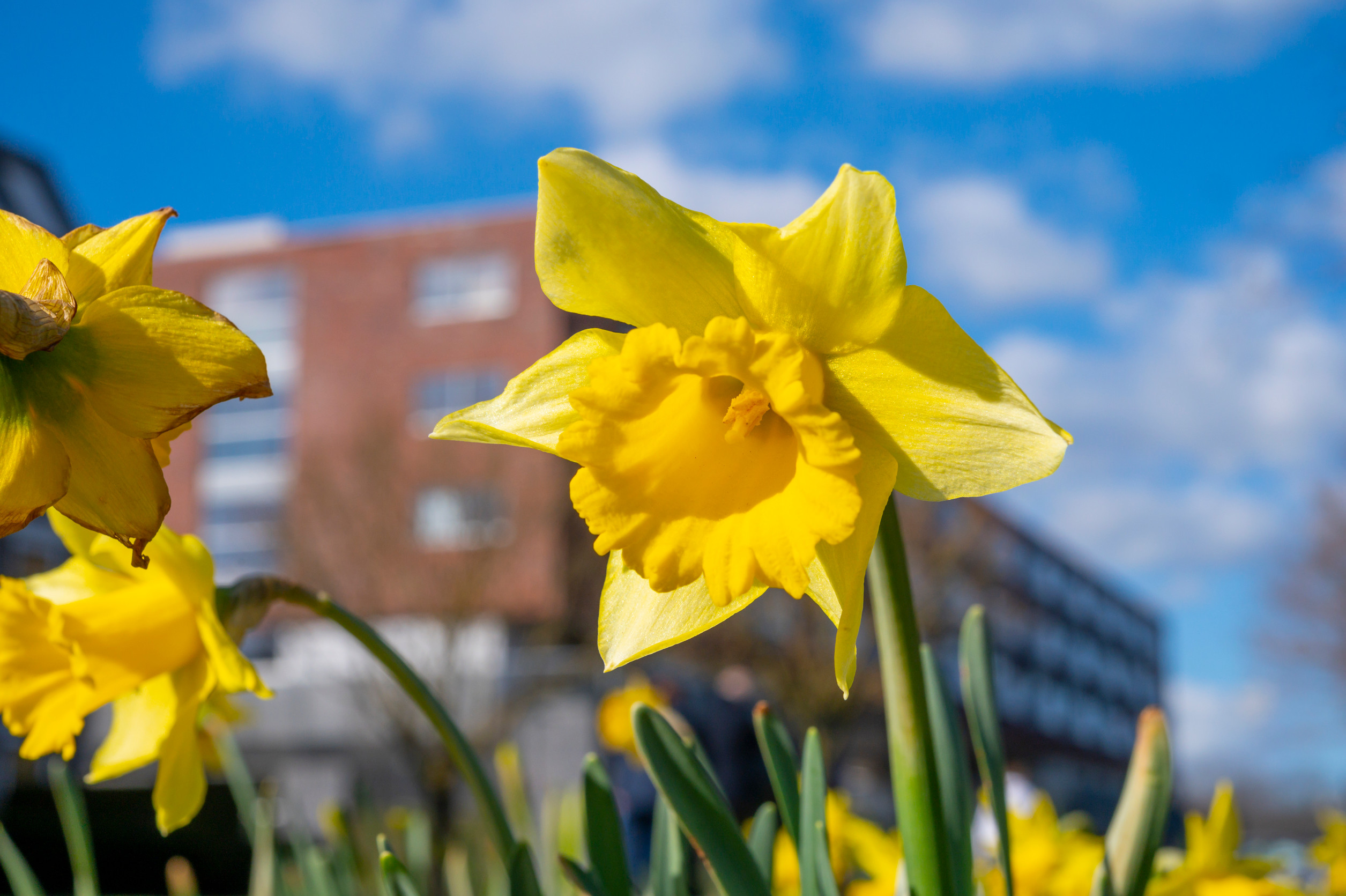 Get Your Home Market-Ready for Spring: February To-Do List for Sellers