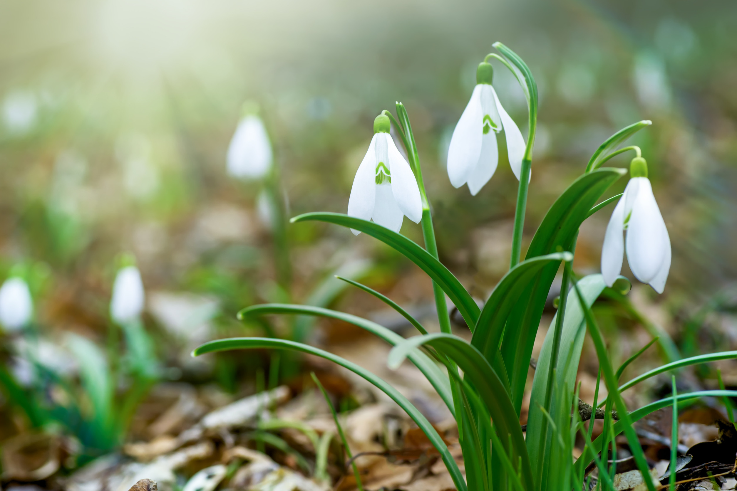 February 2025: What's Happening in the UK Property Market?