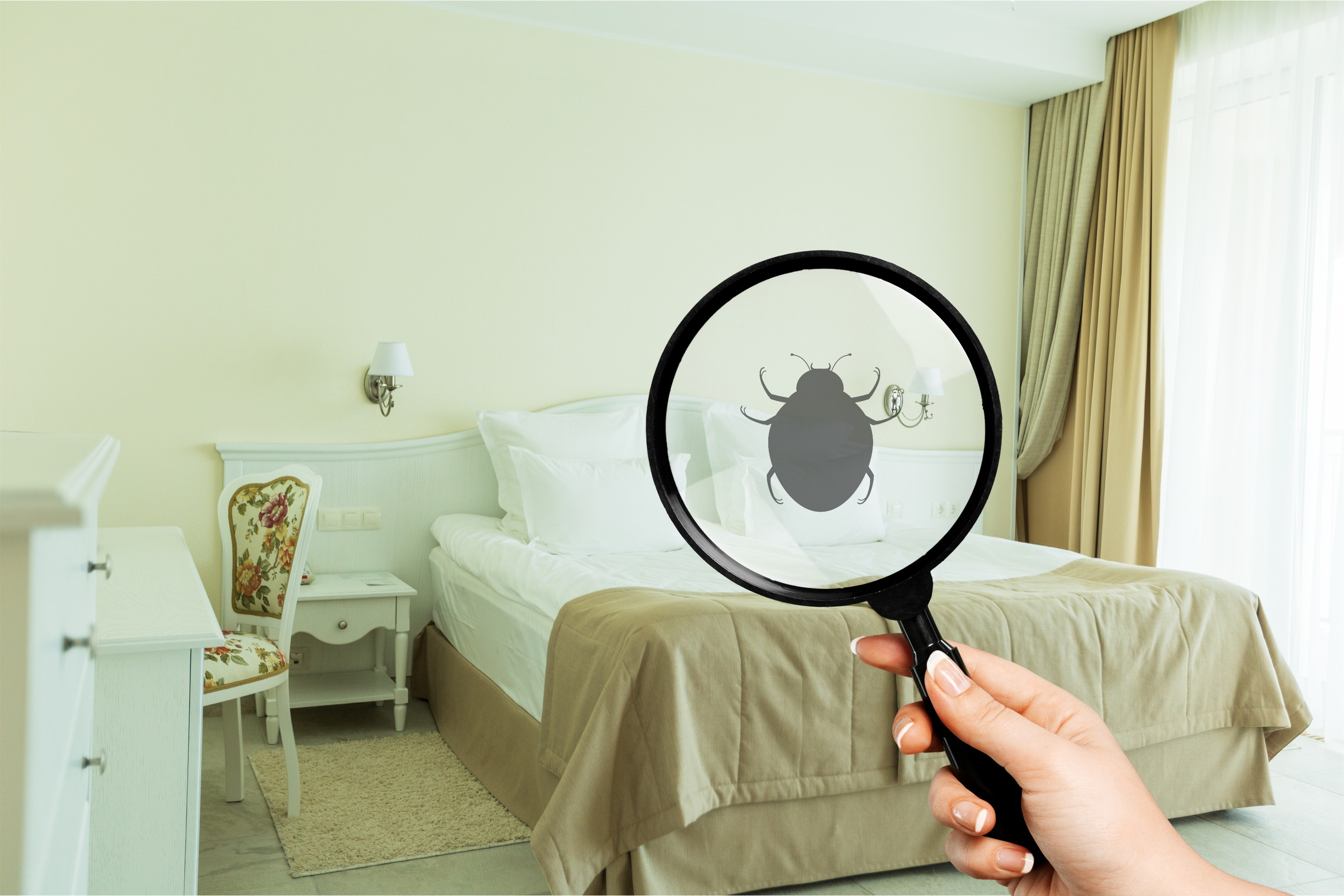 Dealing with Bed Bugs in Rentals: What Landlords & Tenants Need to Know